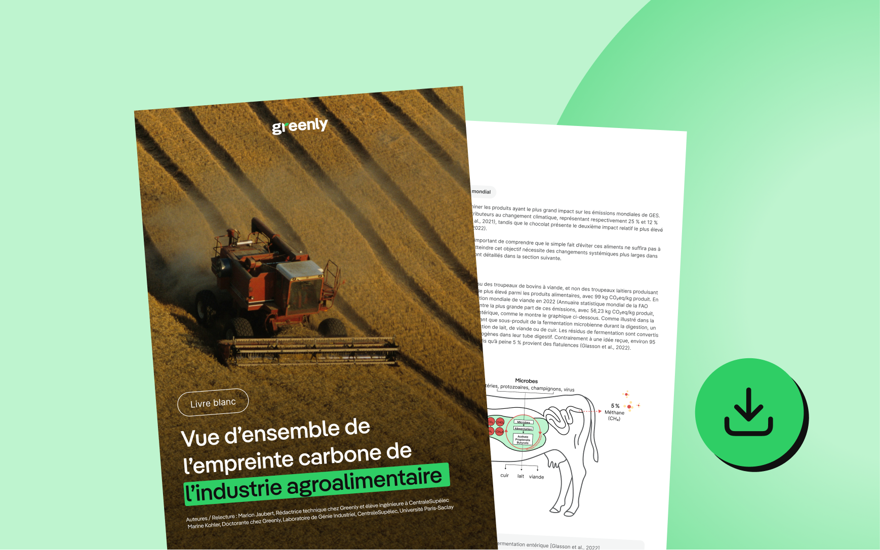 ARWqFbpReVYa4a2C WhitePaper ROI EN 1