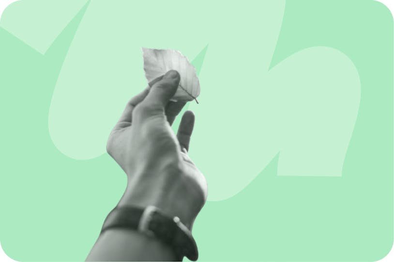 une main tenant une feuille