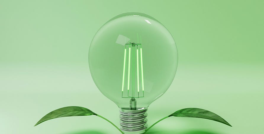 une ampoule avec des feuilles vertes