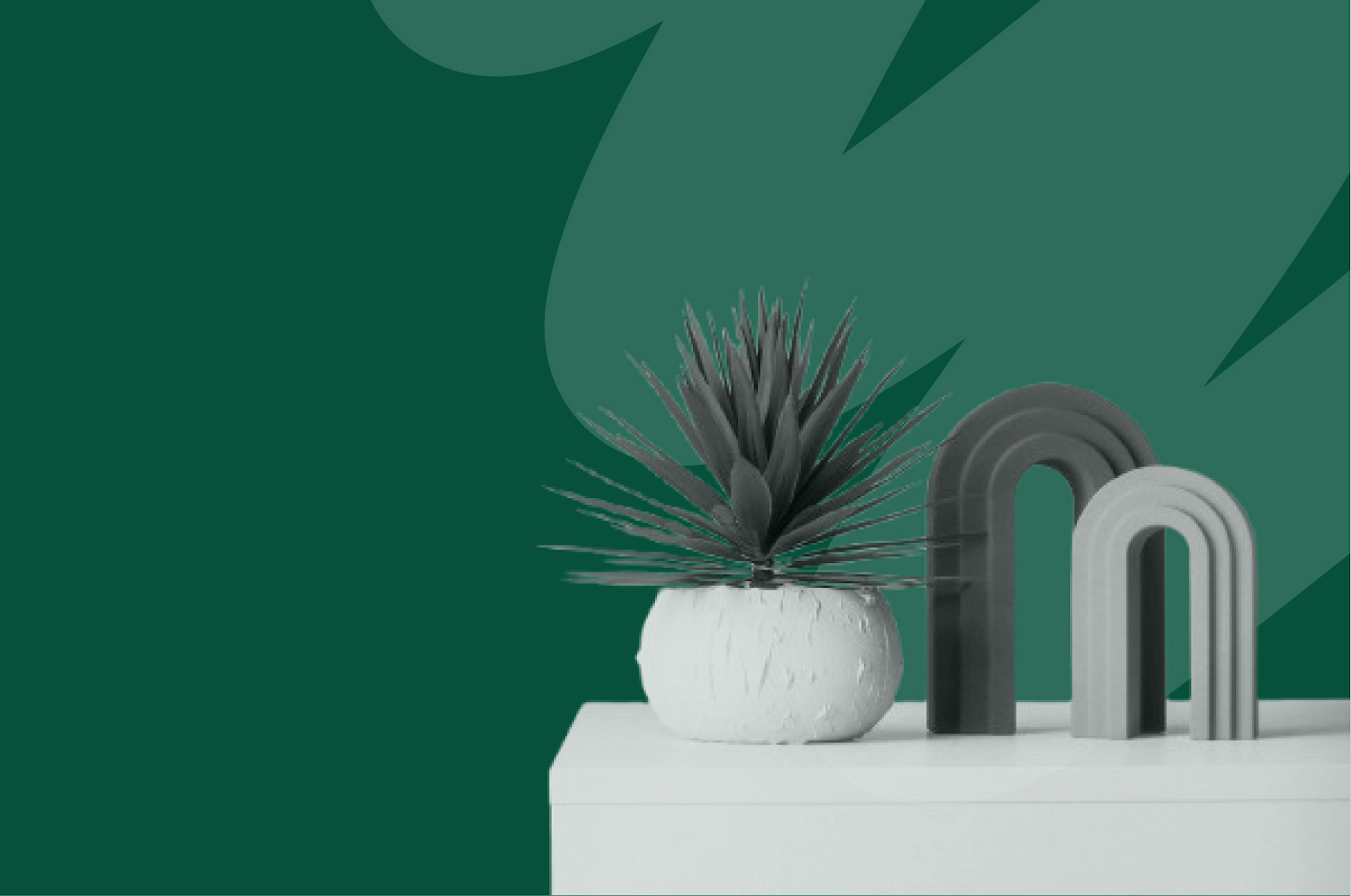 une plante posée sur un meuble