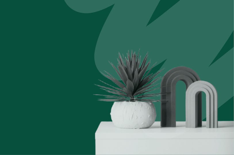 une plante posée sur un meuble