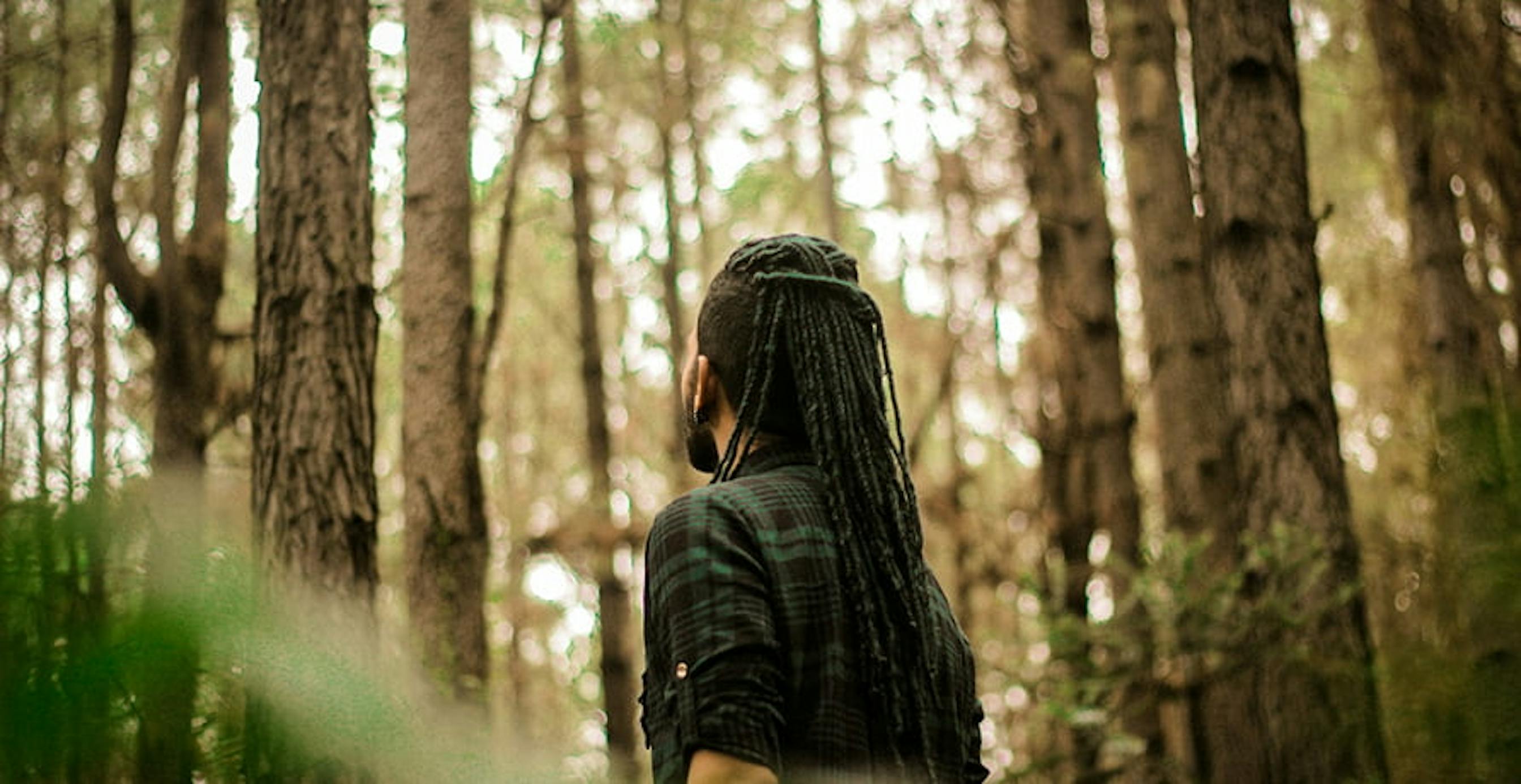 une personne en forêt