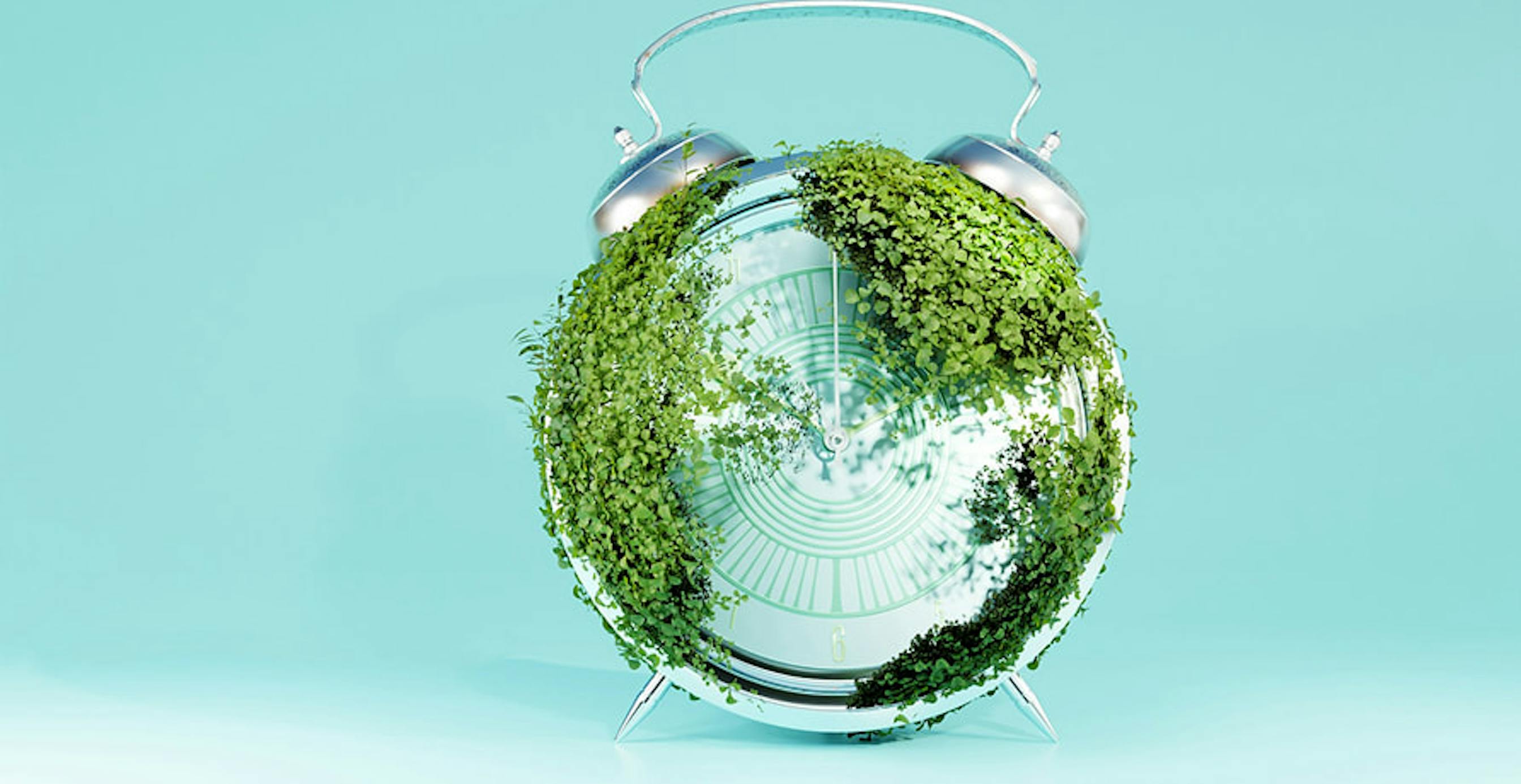 un réveil avec des feuilles dessus