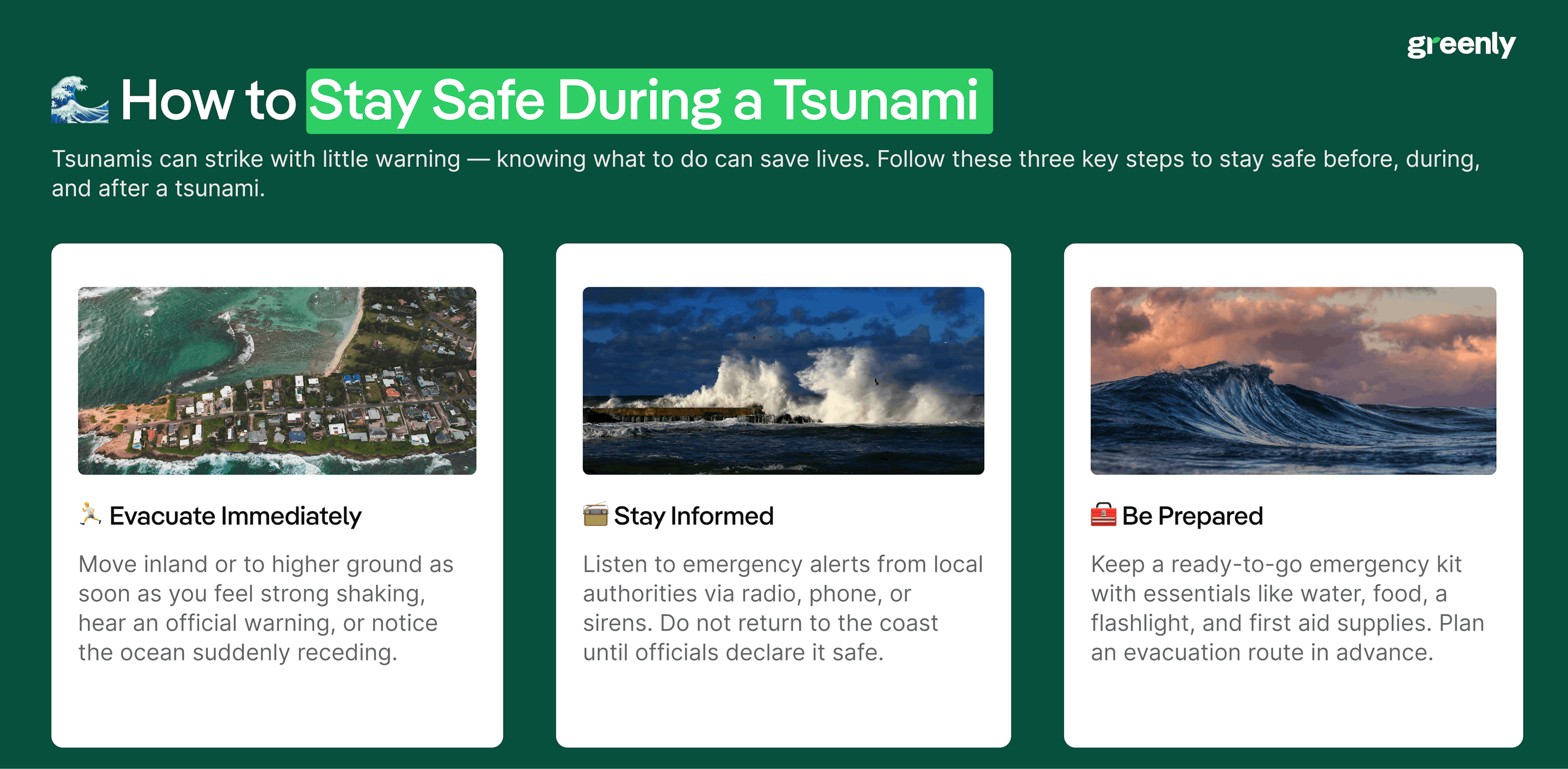 3 Ways to Stay Safe During a Tsunami infographic