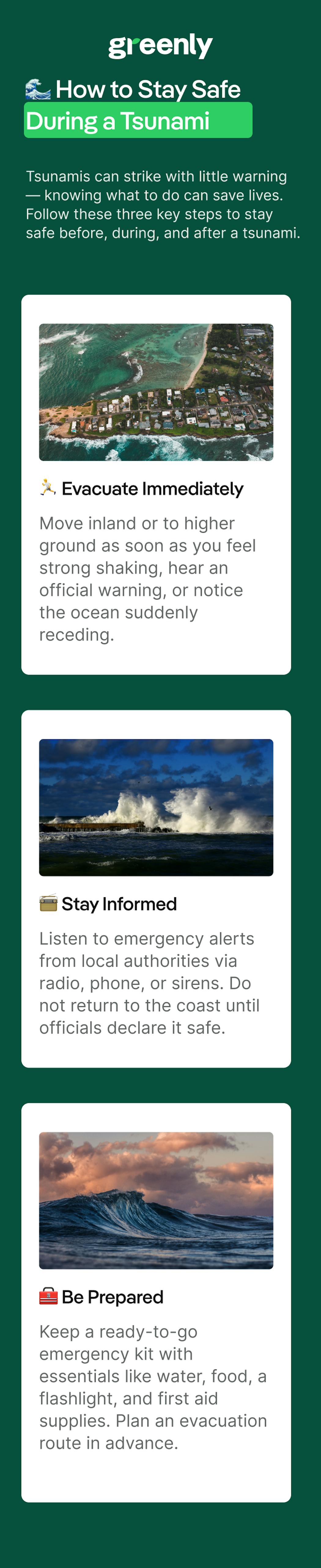 tsunami mobile infographic