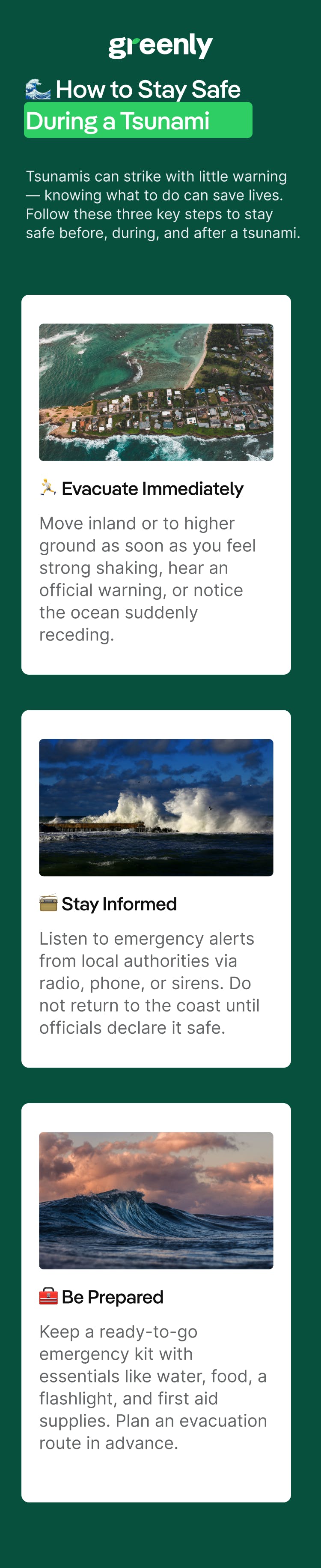 tsunami mobile infographic