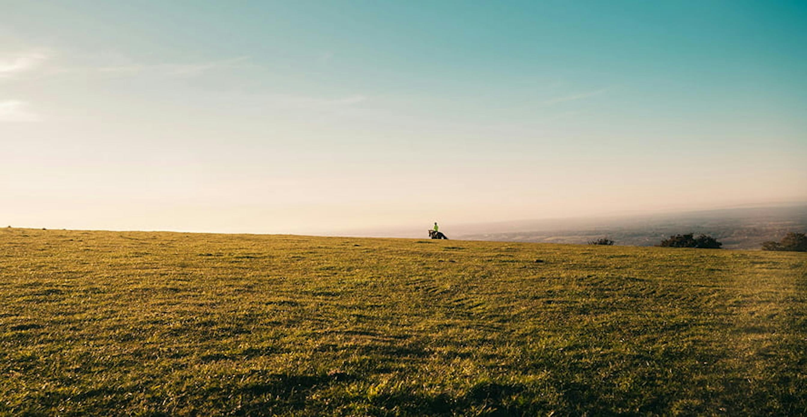 un cavalier dans un champ