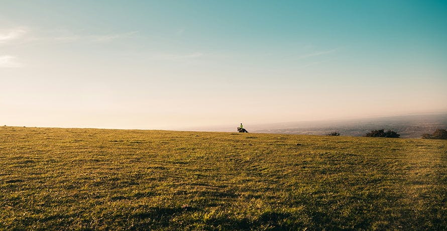 un cavalier dans un champ
