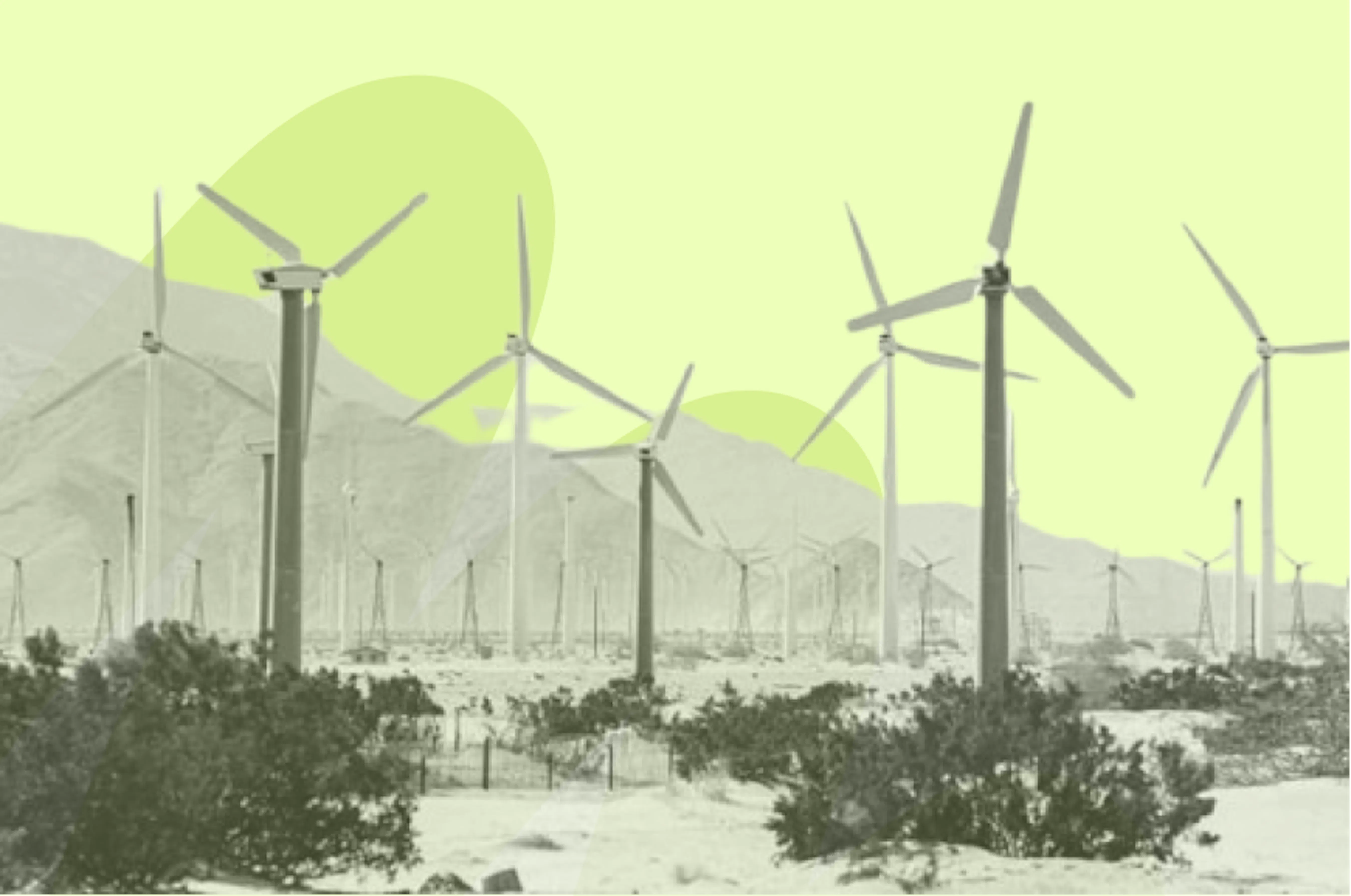 windmills in distance