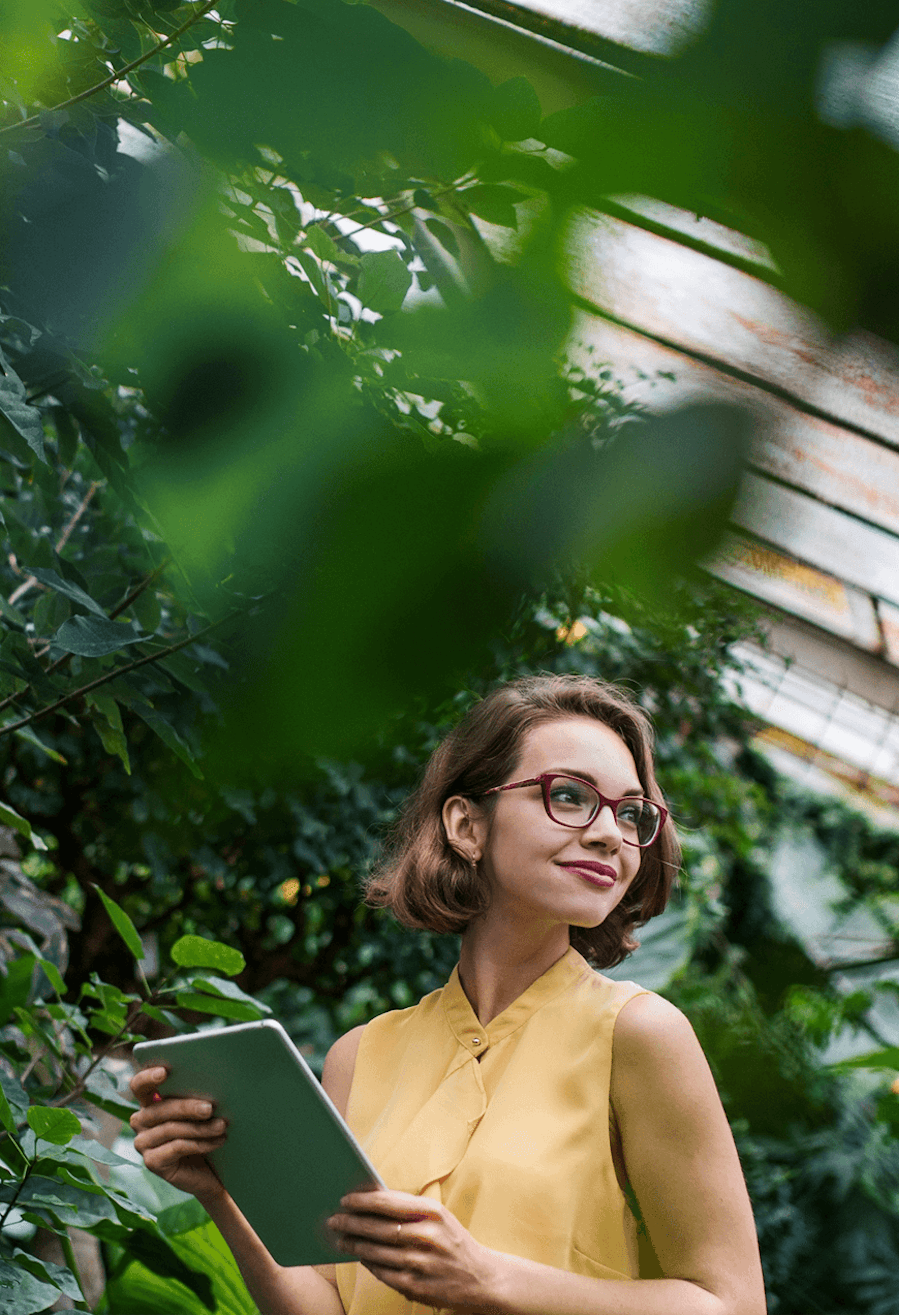 AXDaggIvOtkhBxkw woman with tablet in greenhouse