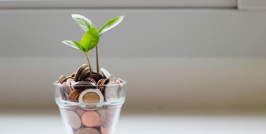 seedling in cup of euro coins 