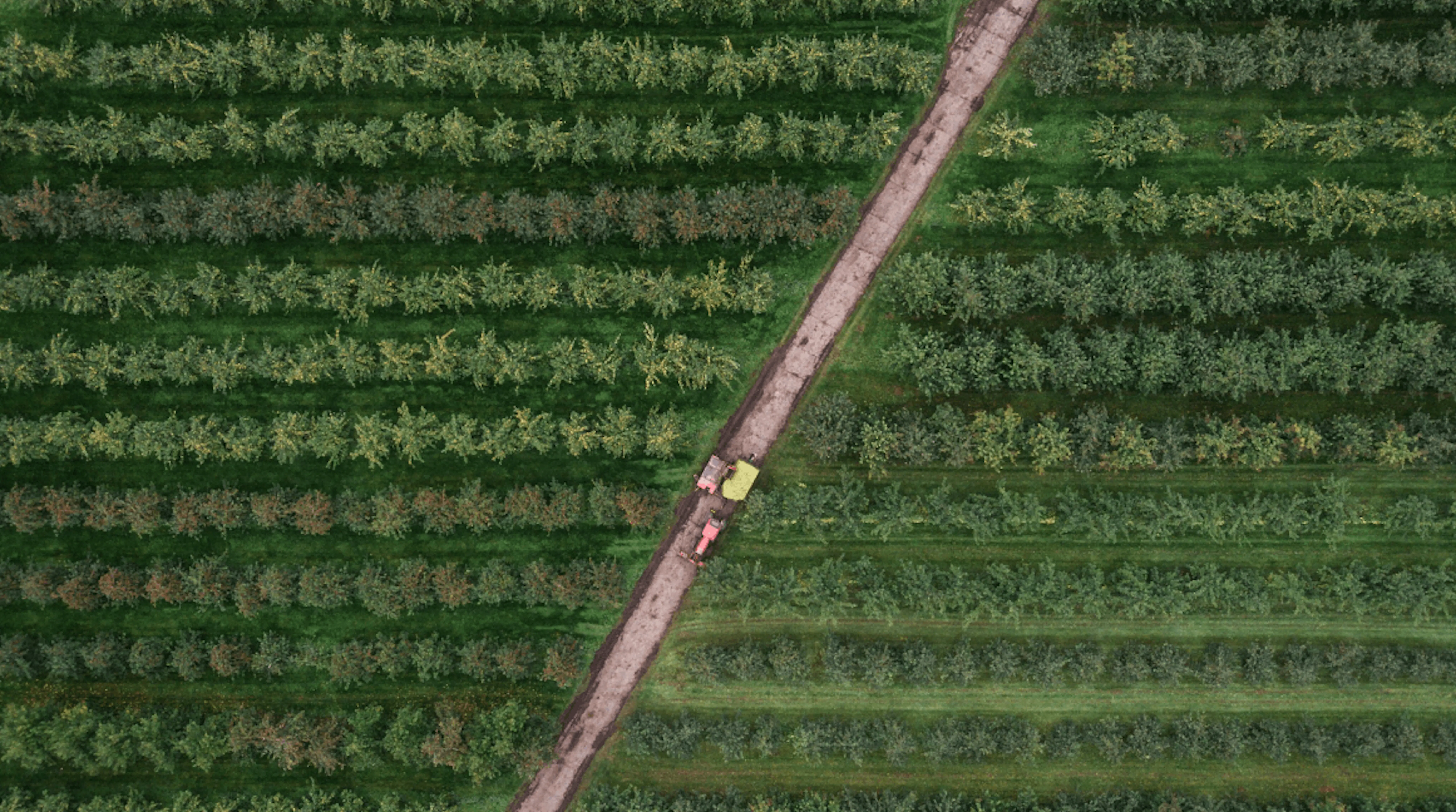 Ad49gZ1ZCF7ETLW9 CSRDIfac%E2%80%99sRoadtoSustainability