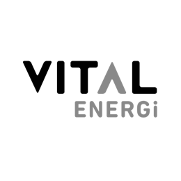 vital energi logo