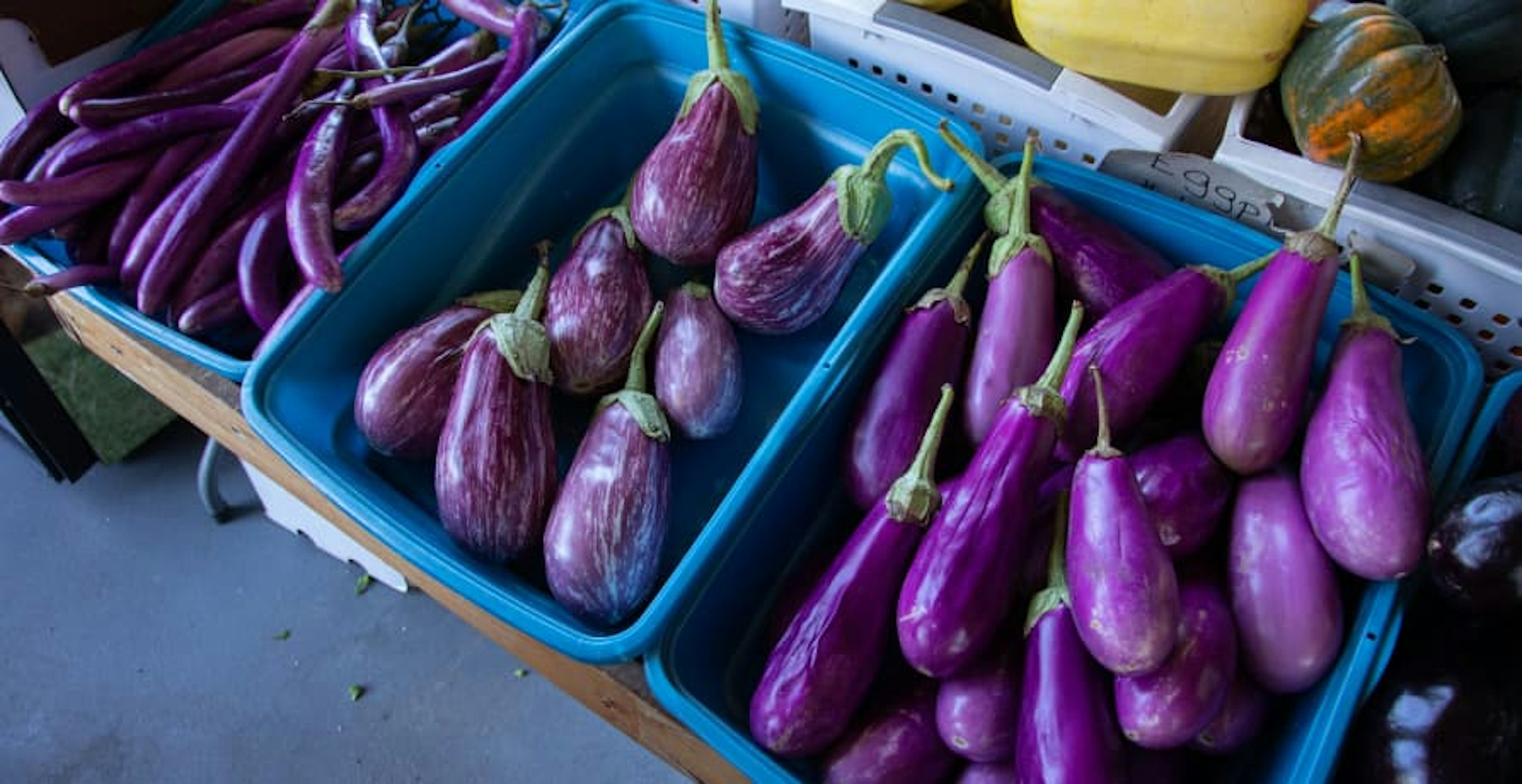 purple aubergines inside boxes