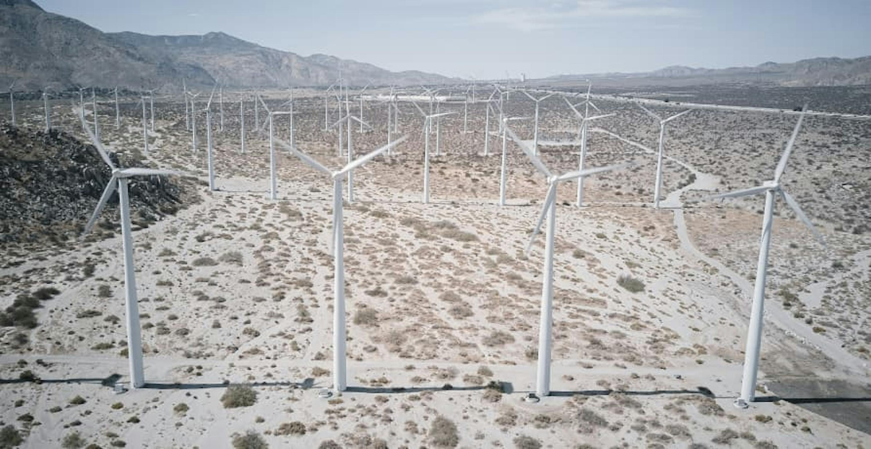 wind farm 