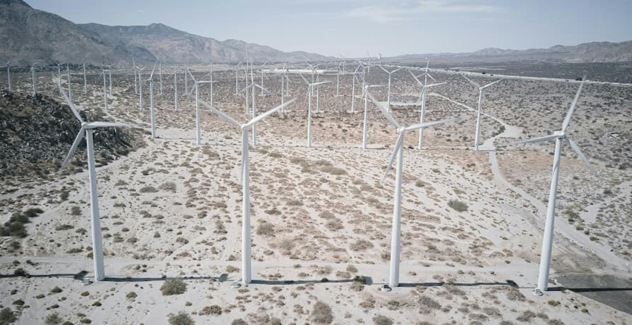 wind farm in the desert