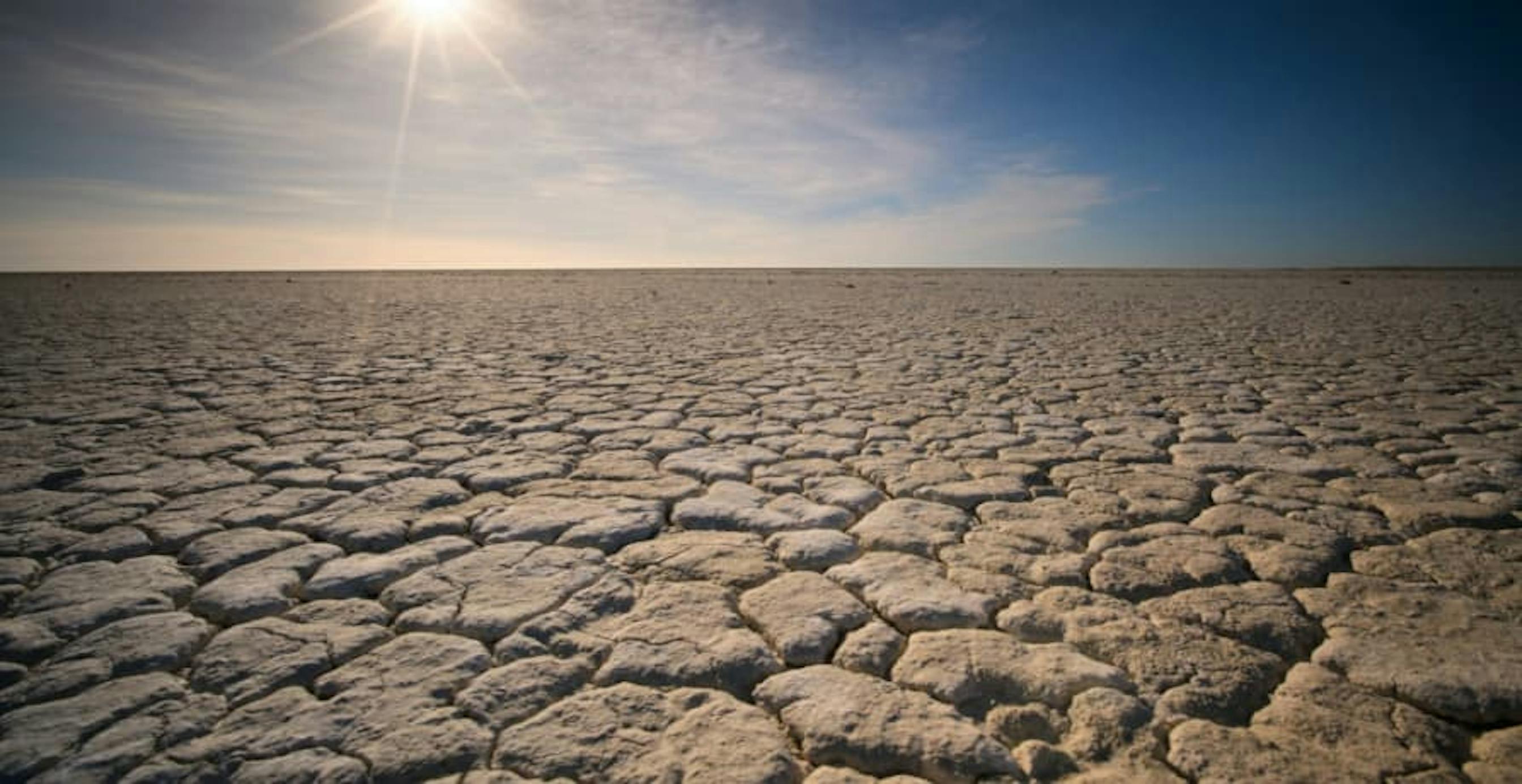 picture of drought