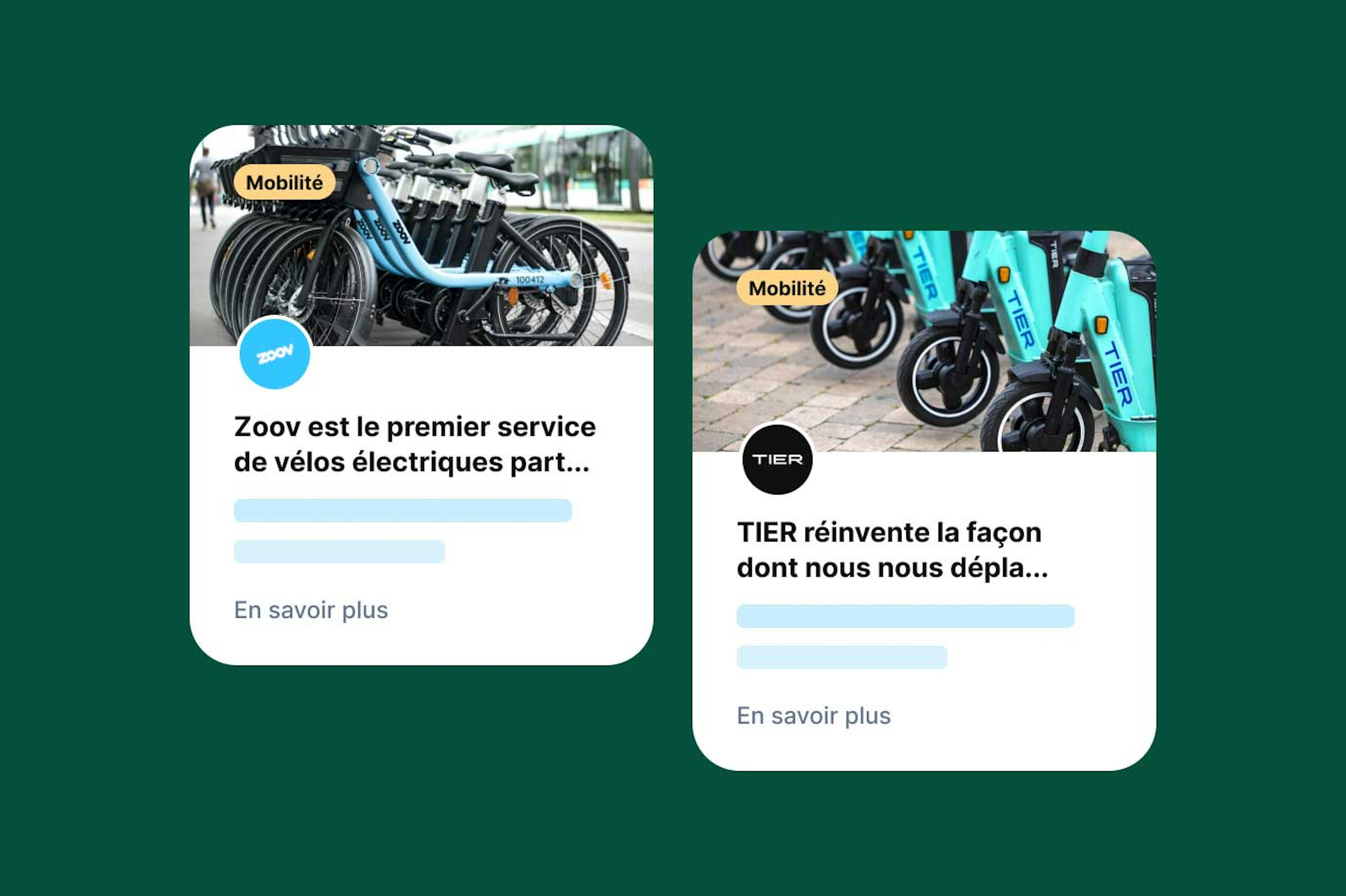 B497a759 1c9c 4e73 b625 56aaef2c6812 Banque Contribution Secteur Skeleton