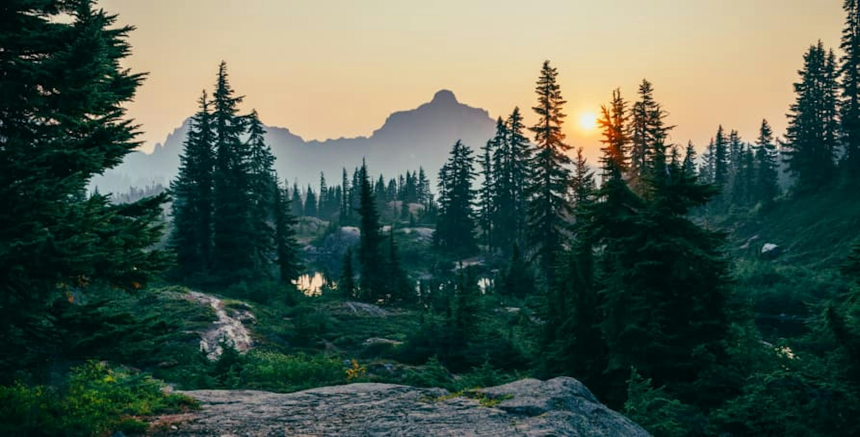 forest with mountains and sunset view