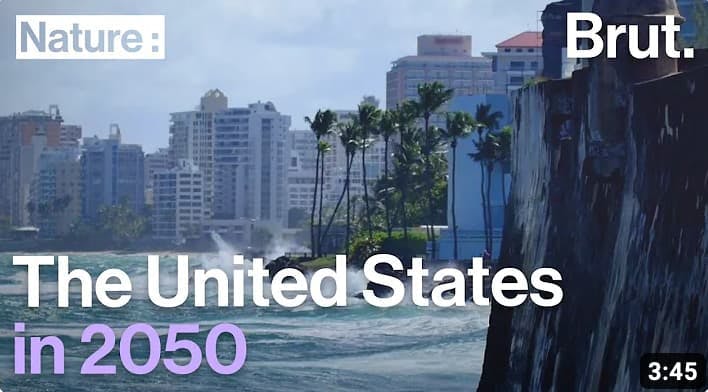 The United States in 2050