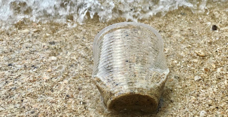 a plastic cup on the beach