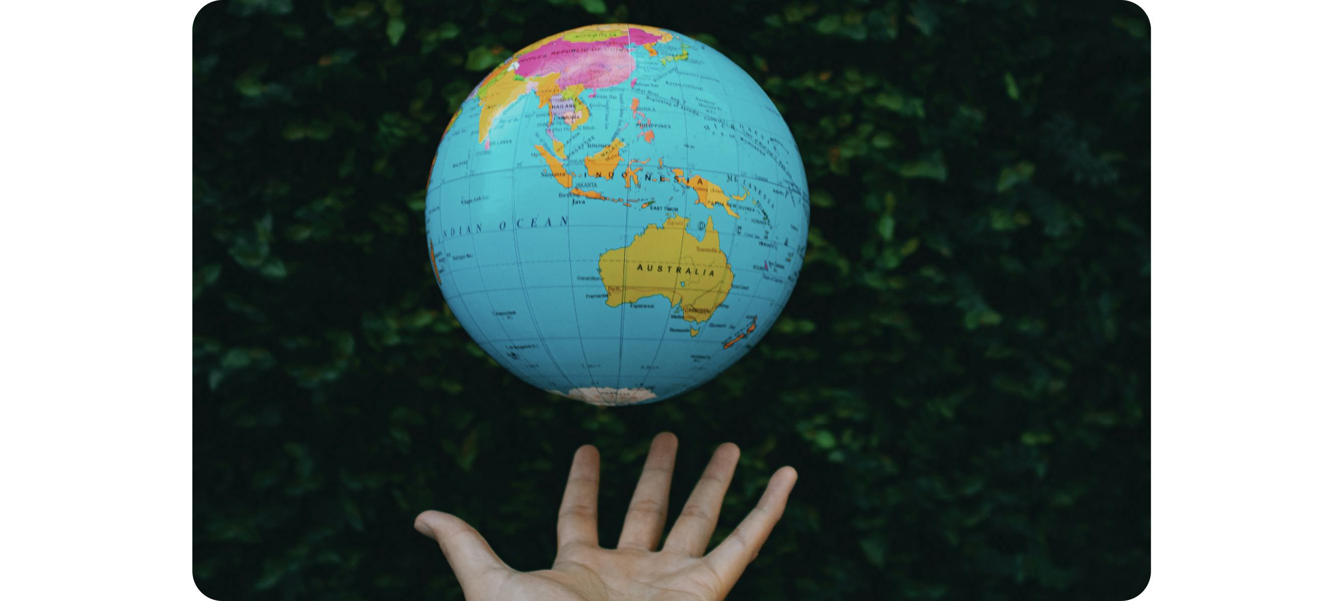 A person showing globe against lush green plants
