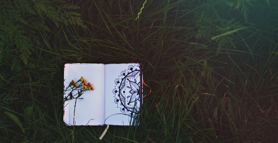 notebook in grass
