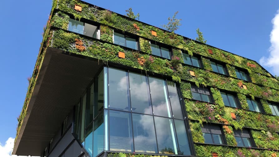 building covered in green vegetation