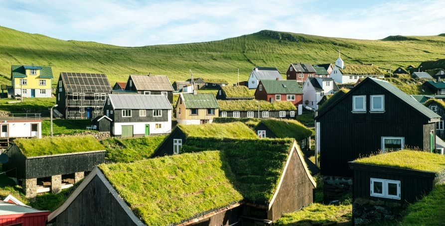 houses with green roofs