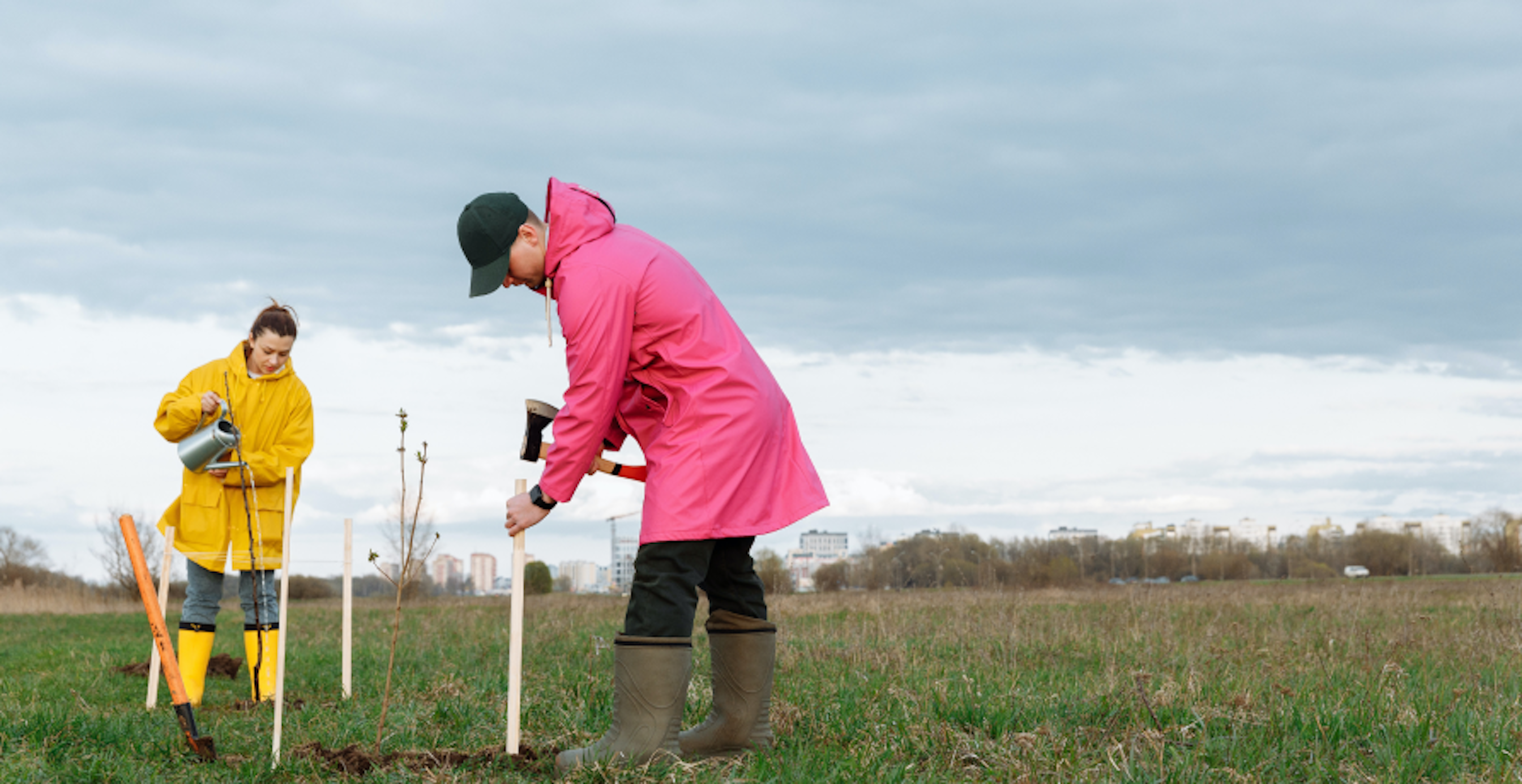 two people planting trees