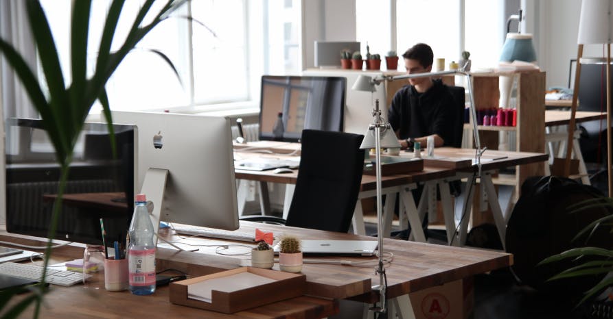 office space with large plant