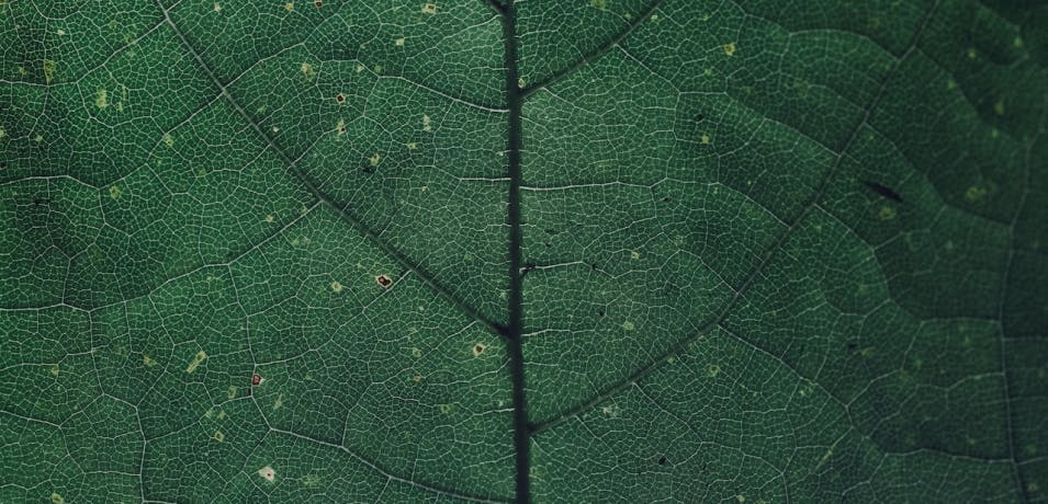 C210d1a4 5d67 4210 b293 639d835cb5b2 planetary boundaries