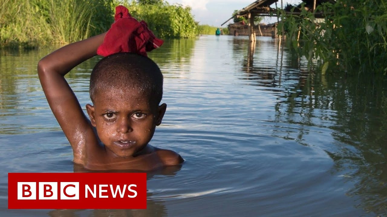 young boy in water bbc news
