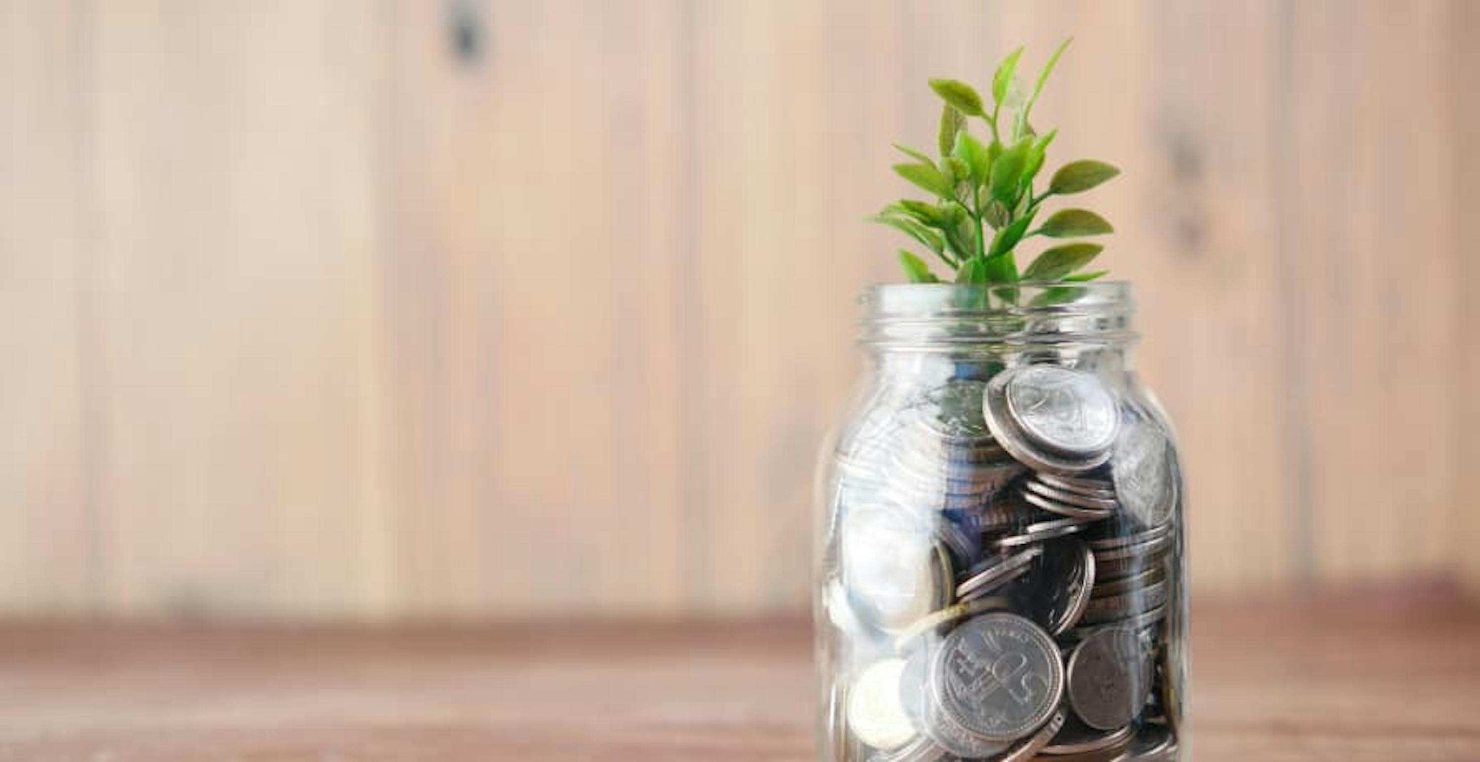 coins in a jar with a plant