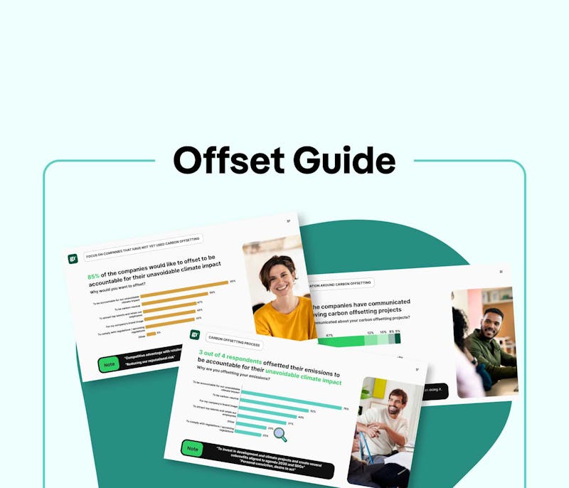 Offset guide