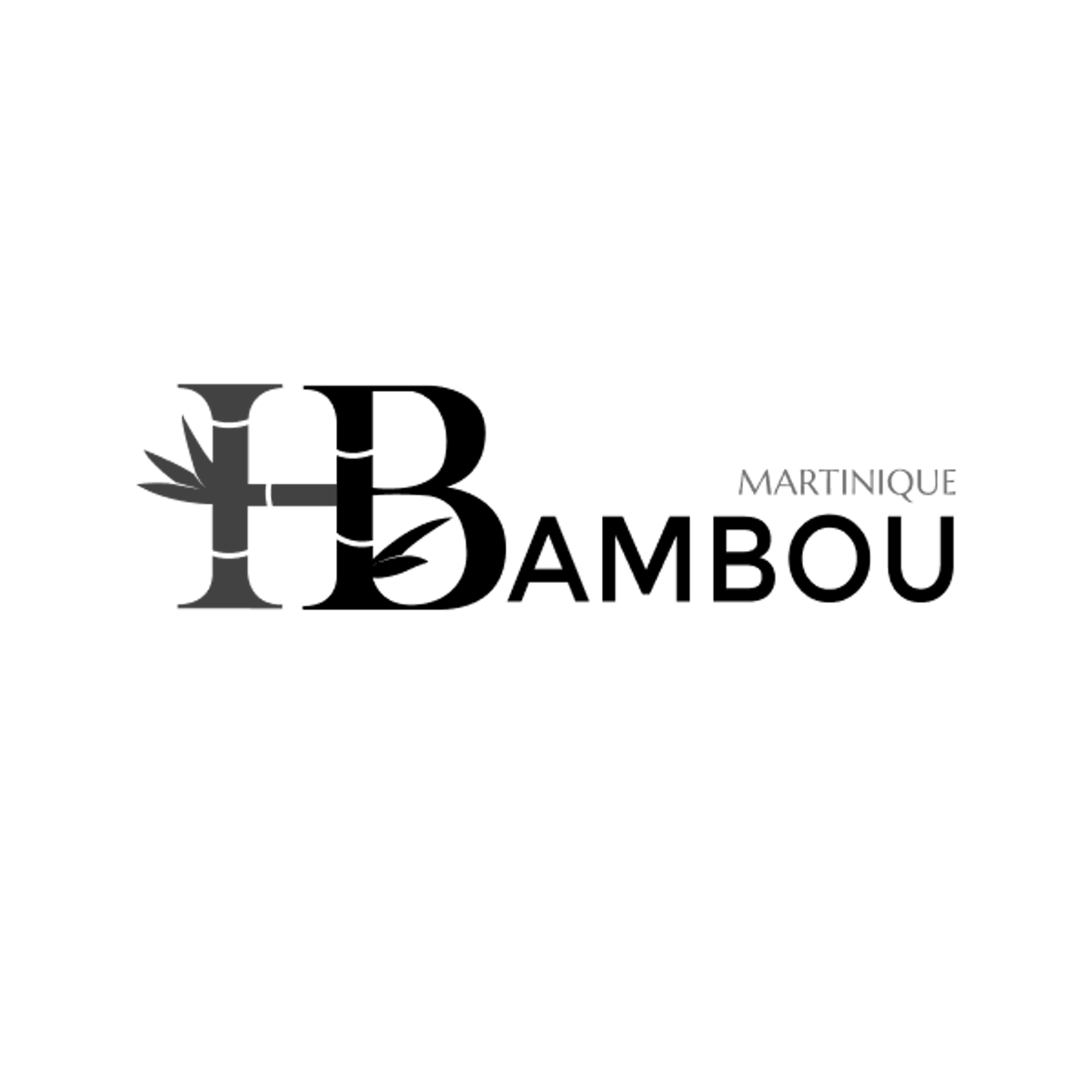 Hôtel Bambou logo