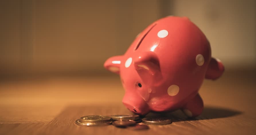 pink piggy bank trying to eat coins