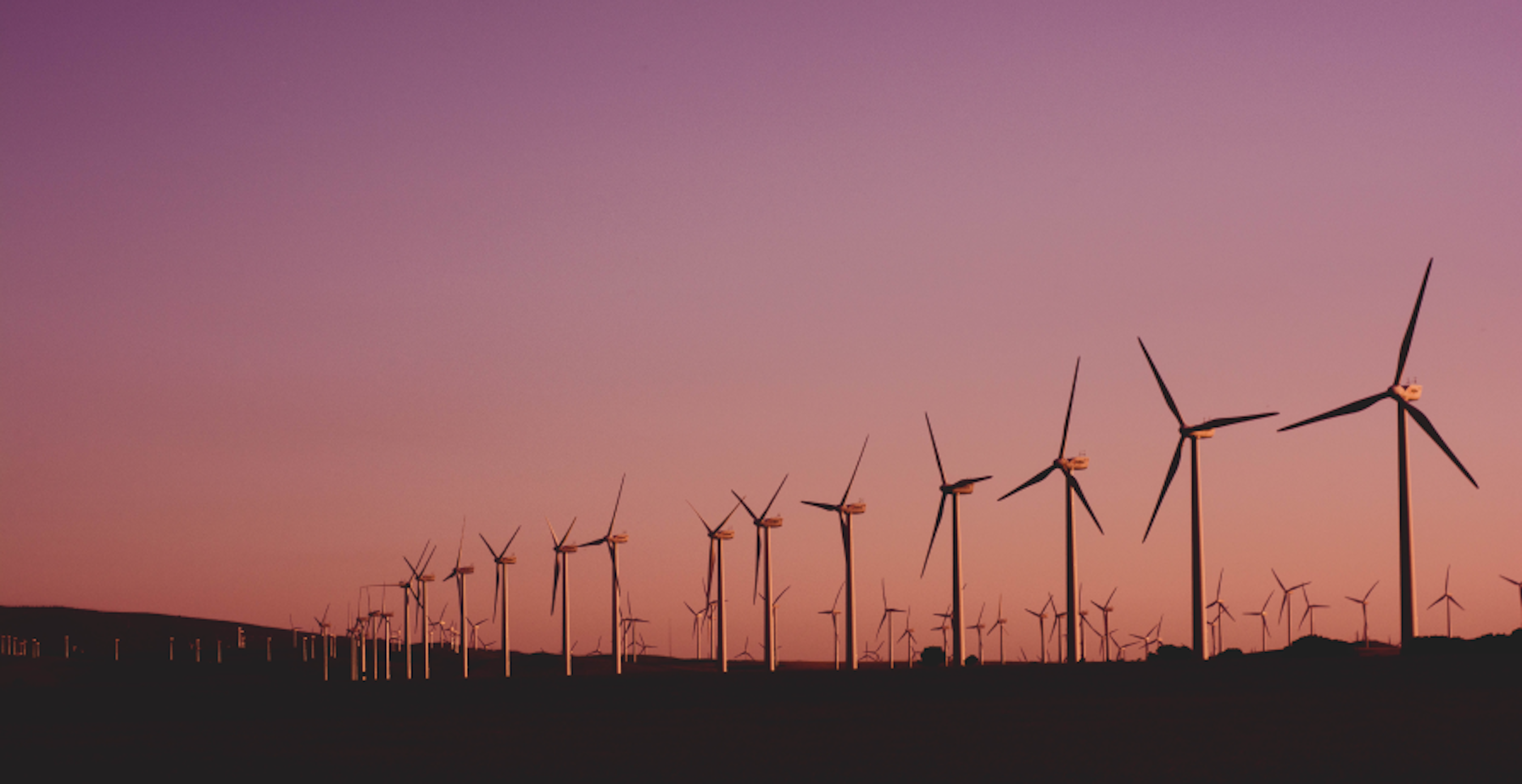 wind farm at sunset in the countryside