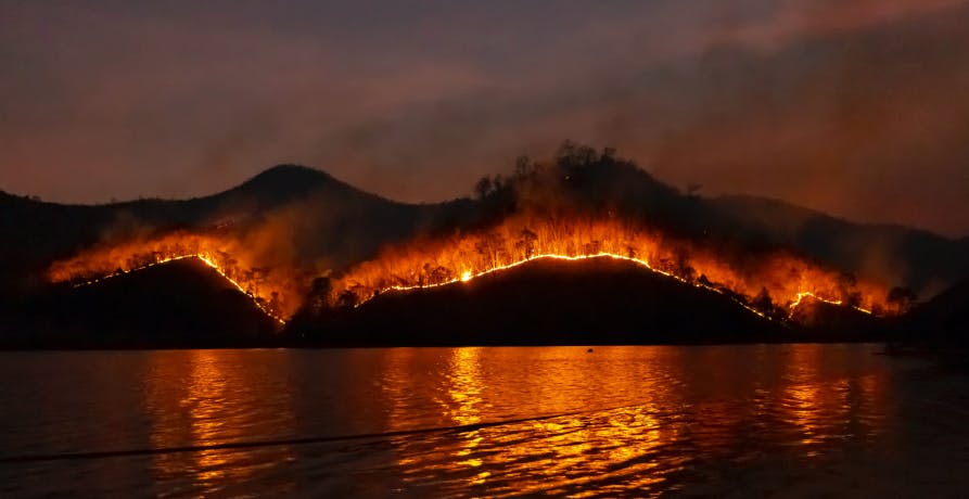 feux de forêt sur une montagne devant un lac
