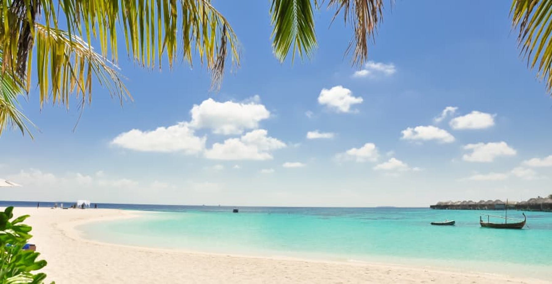 beautiful tropical beach with white sand and clear blue waters