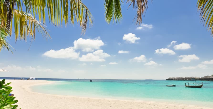 beautiful tropical beach with white sand and clear blue waters