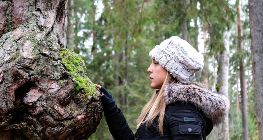 person touching a tree