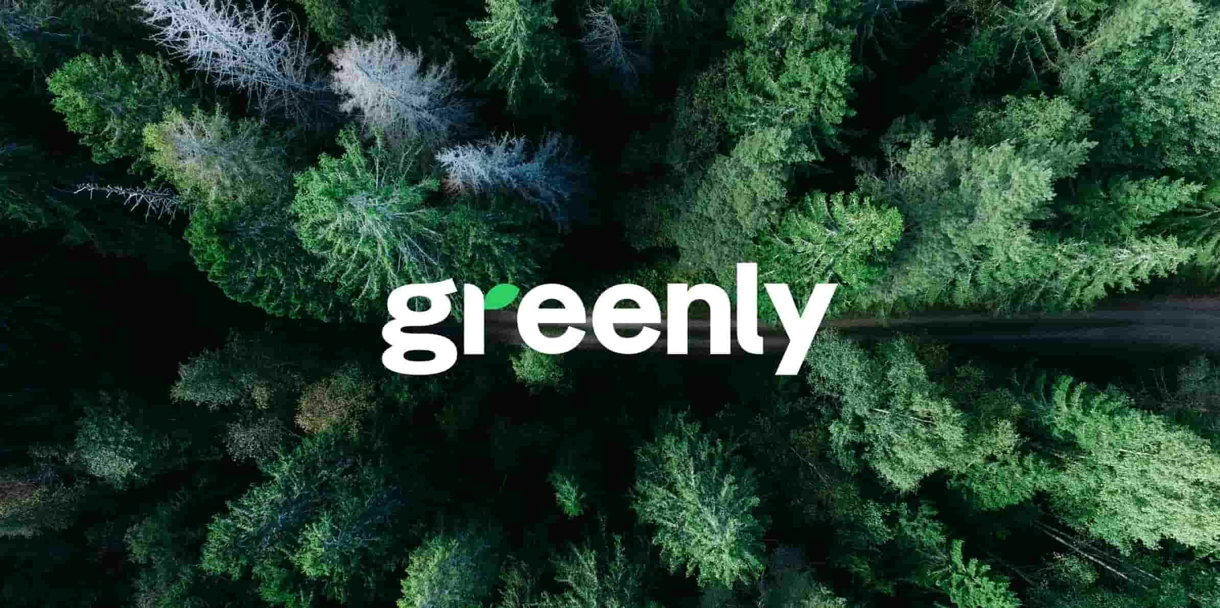 word greenly, forest background