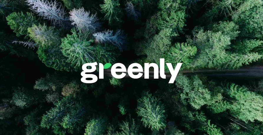 word greenly, forest background
