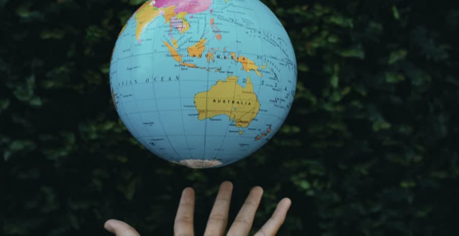 A person showing globe against lush green plants