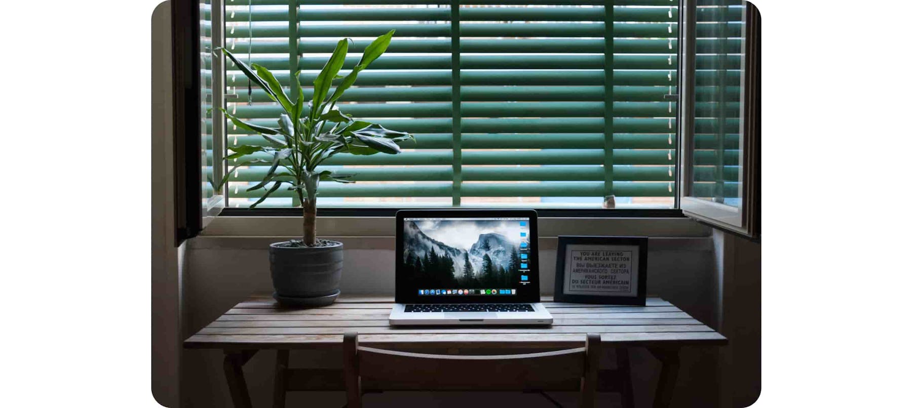 Laptop on a table next to house plant and picture frame