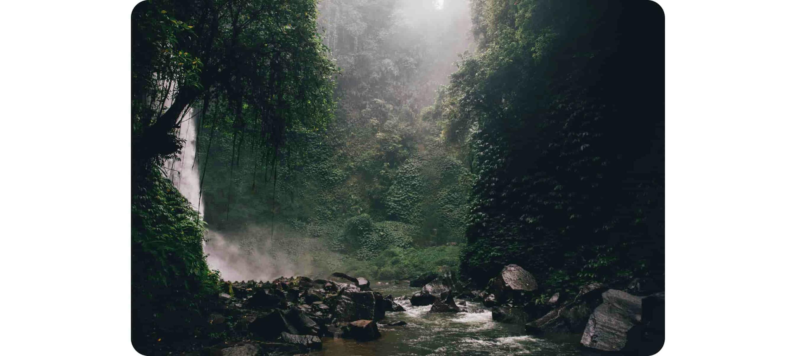 River in the middle of forest