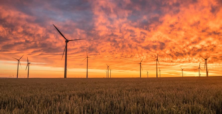 wind turbines in sunset