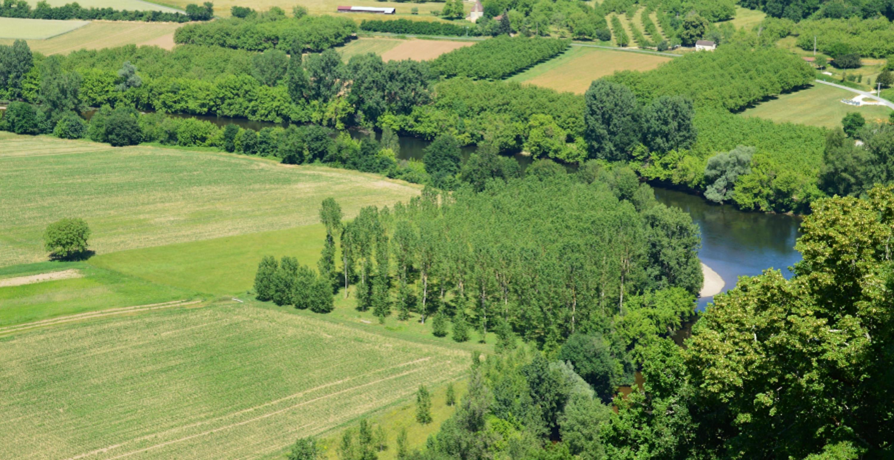 trees next to river and fields