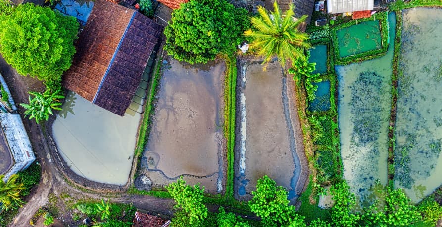 bird's eye view of flooding